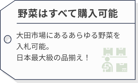 野菜はすべて購入可能 | 大田市場にあるあらゆる野菜を入札可能。日本最大級の品揃え！