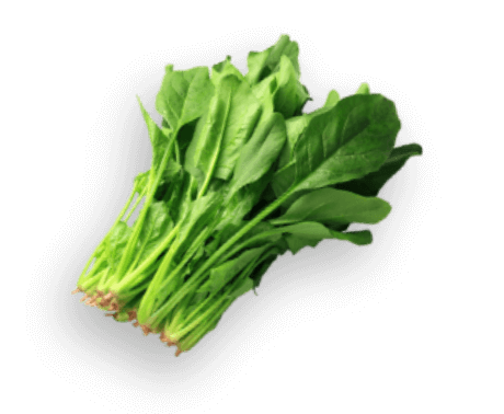 ほうれん草